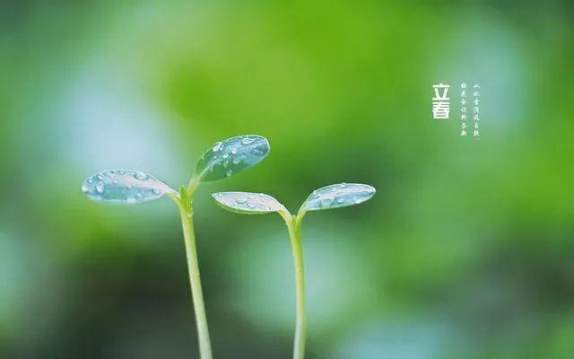 描写春天的短句 春天简短美句