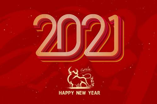 新年祝福语幼儿园2021新年祝福语儿童版