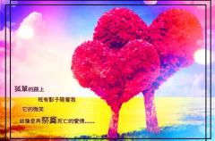 我放弃一切去爱你的说说20句