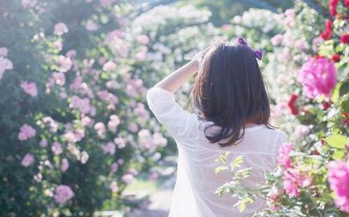 优雅高贵女神网名 成熟稳重的网名女人味