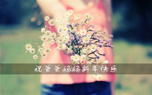 祝爸爸妈妈新年快乐祝福语 新年家人祝福语大全