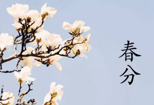 关于春分的祝福语