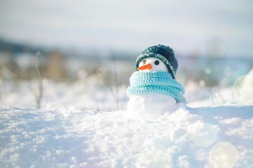 借雪抒情的句子 关于雪的抒情的一段话