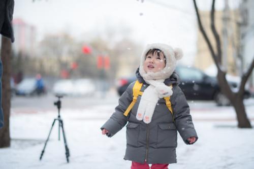 下雪的唯美短句 下雪场景好美的句子