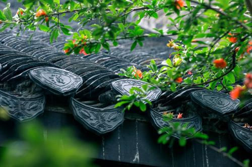 蒙蒙细雨唯美句子 看着窗外的细雨的句子