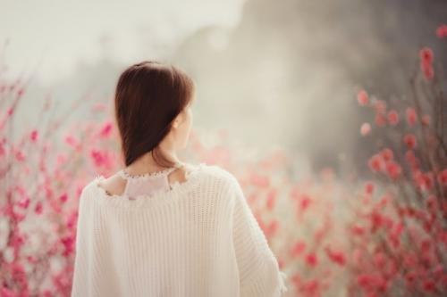 有关夏天美景的短语 最新夏天美景句子摘抄