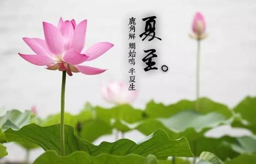 夏至说说短句子