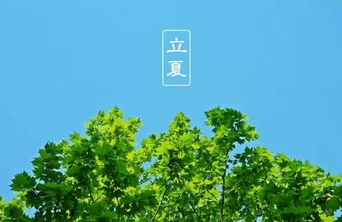 描写立夏的优美句子