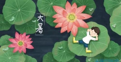 大暑说说句子