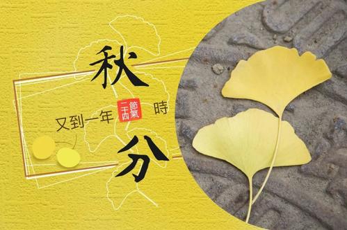 适合秋分发的说说