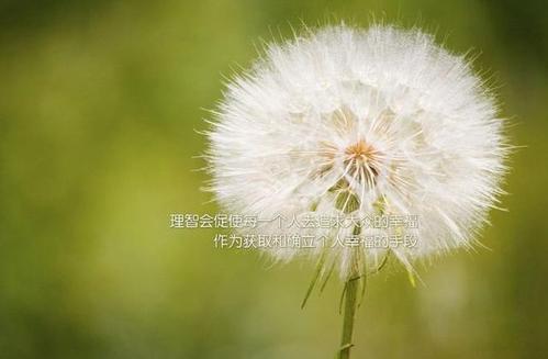 朋友圈励志的经典句子