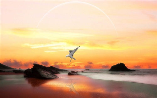 海边朋友圈简单一句话 去海边发朋友圈的句子