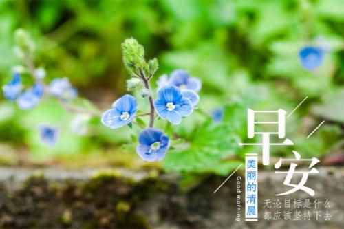 早安图片适合发朋友圈的句子