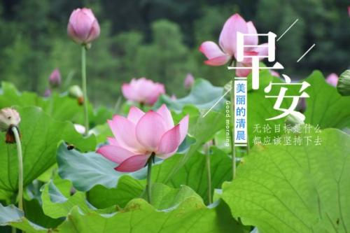 早上好图片 早安心语正能量一句话
