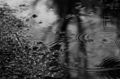 深夜听雨声失眠的句子 一个人的雨夜唯美句子