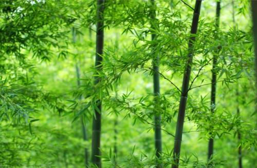 抖音调皮搞笑的句子 可爱到爆炸的句子
