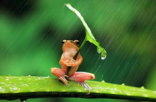 适合下雨天发的朋友圈 雨天心情不好发朋友圈的句子