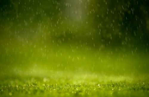 适合雨夜的伤感句子 听雨睡觉的说说