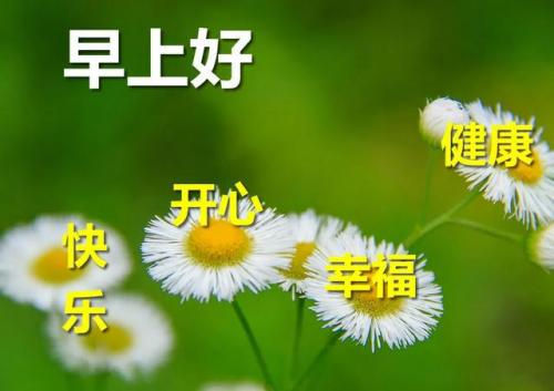 早安暖心的简短问候语
