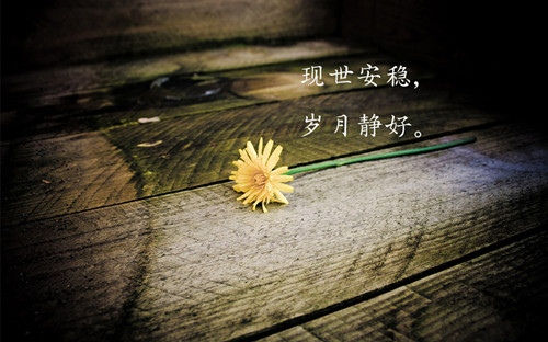 每日一句话正能量经典语录，找一句送给自己！