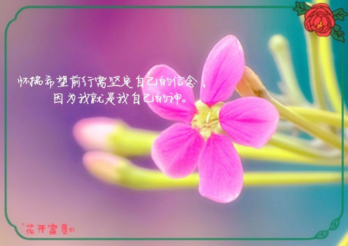 对喜欢的人说的暖心早安语