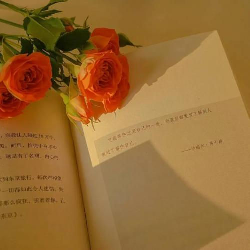 哲理句子唯美精辟简短