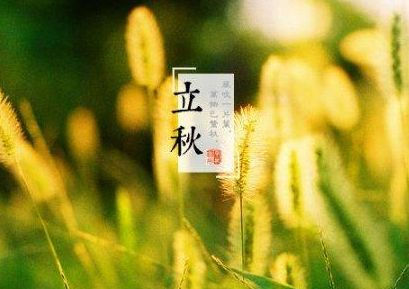 关于立秋的优美句子 立秋的说说发朋友圈