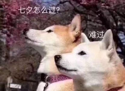 七夕单身狗文案