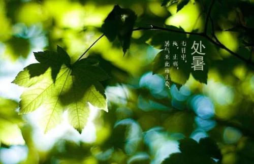 处暑节气祝福语 适合处暑发的句子
