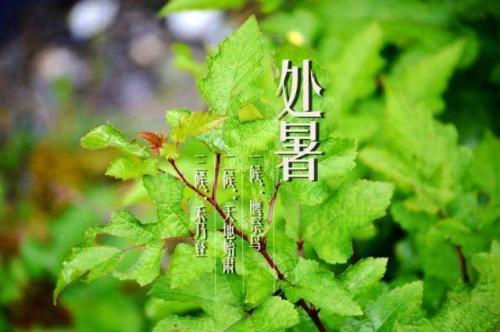 处暑祝福图片 处暑祝福语