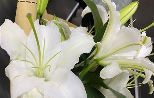朋友圈晒百合花的心情短语