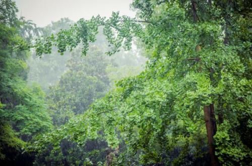 描写雨的优美句子下雨天的景象优美段落