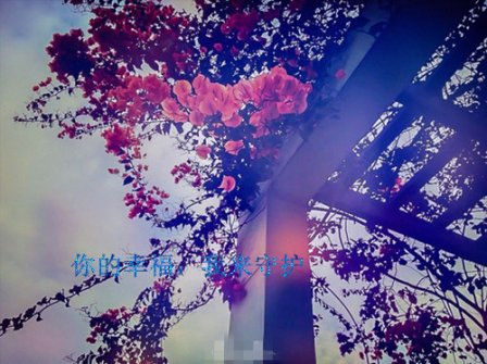 人生感悟的搞笑句子 人生感悟的幽默句子