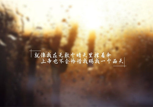 最美文字情感经典语录