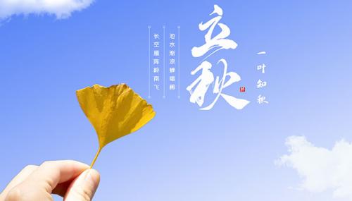 立秋的唯美句子精选立秋的句子短句唯美
