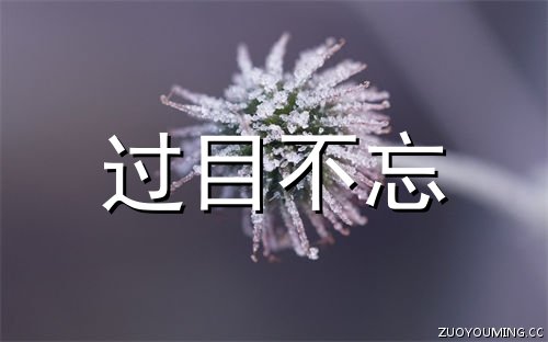 让人过目不忘的网名独特个性昵称大全(精选200个)