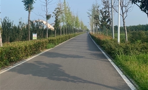晨练的说说简短语句幼儿园