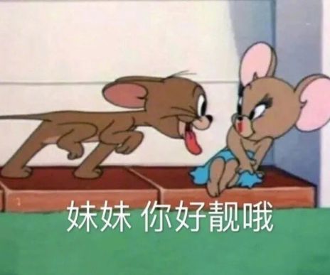 很自恋的有趣的搞笑网名 逗比专属自恋的内涵网名