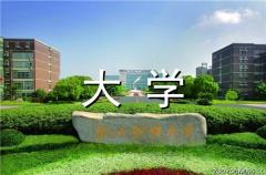 大学迎新生创意标语 迎新主题标语