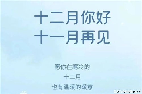 十一月再见十二月你感悟人生发朋友圈的句子(精选100句)