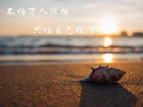 十月再见十一月你好语录