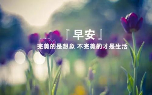 早安暖心话短句 早上好高情商句子