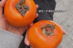 小年夜很幽默的语录 关于小年的幽默文案发朋友圈