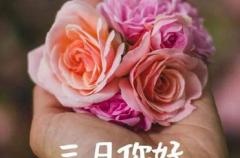 2022三月请我好一点心情短句 二月再见三月你好伤感说说