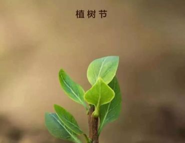 2022植树节正能量语录 植树节发朋友圈的正能量说说