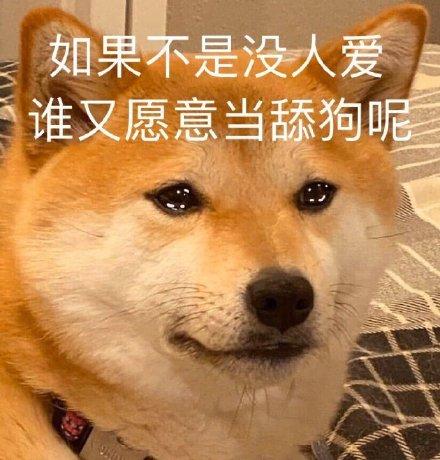 舔狗日记 超火有趣的舔狗文案