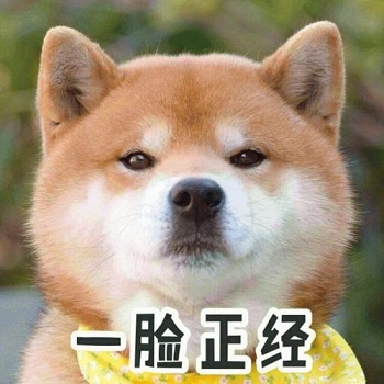 2022最新搞笑的网名大全