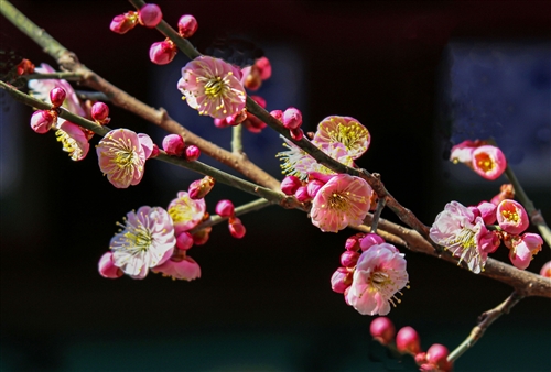 春天带孩子出去玩的心情发朋友圈