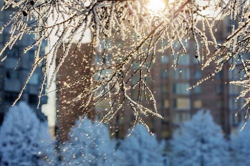 关于雪的四个字网名精选