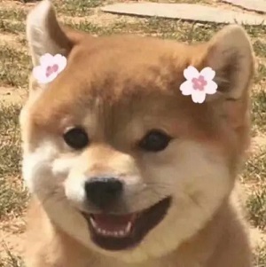 搞笑沙雕的姐妹群聊昵称（）